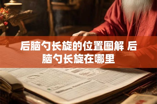 后脑勺长旋的位置图解 后脑勺长旋在哪里