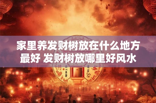 家里养发财树放在什么地方最好 发财树放哪里好风水