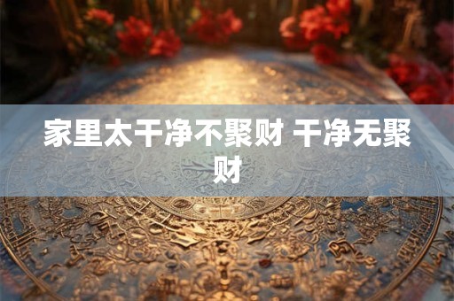 家里太干净不聚财 干净无聚财