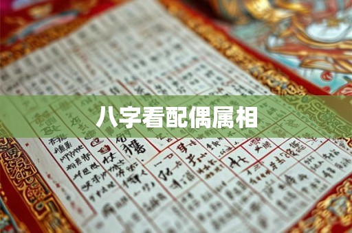 八字看配偶属相