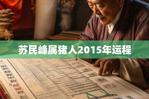 苏民峰属猪人2015年运程