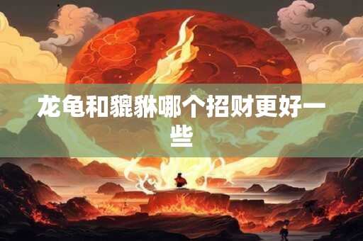 龙龟和貔貅哪个招财更好一些