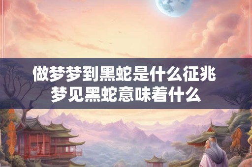 做梦梦到黑蛇是什么征兆 梦见黑蛇意味着什么
