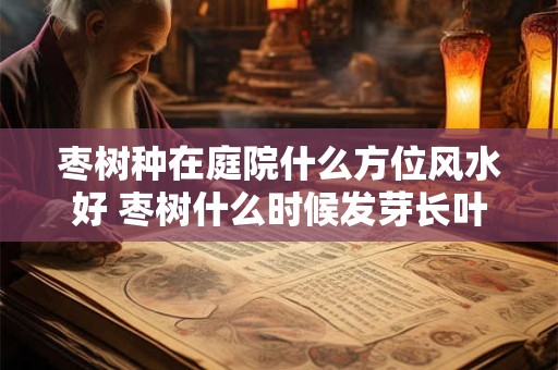 枣树种在庭院什么方位风水好 枣树什么时候发芽长叶
