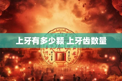 上牙有多少颗 上牙齿数量