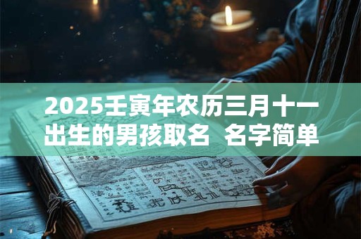 2025壬寅年农历三月十一出生的男孩取名  名字简单大气