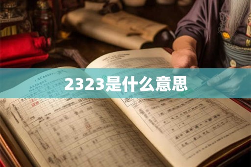 2323是什么意思