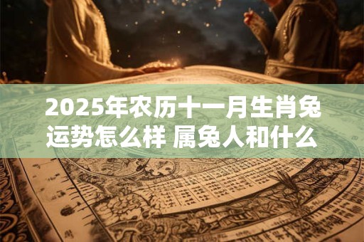 2025年农历十一月生肖兔运势怎么样 属兔人和什么属相犯冲