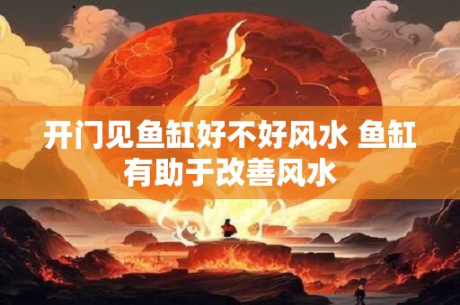 开门见鱼缸好不好风水 鱼缸有助于改善风水