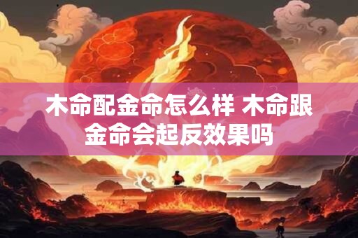 木命配金命怎么样 木命跟金命会起反效果吗