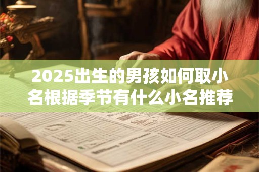 2025出生的男孩如何取小名根据季节有什么小名推荐