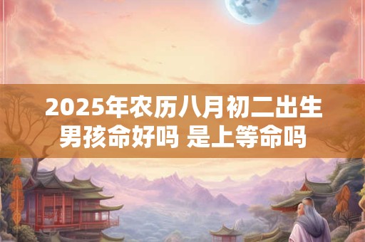 2025年农历八月初二出生男孩命好吗 是上等命吗