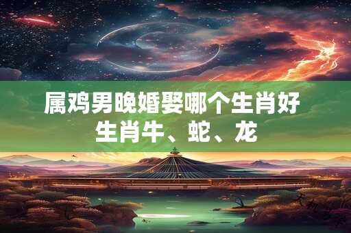 属鸡男晚婚娶哪个生肖好 生肖牛、蛇、龙