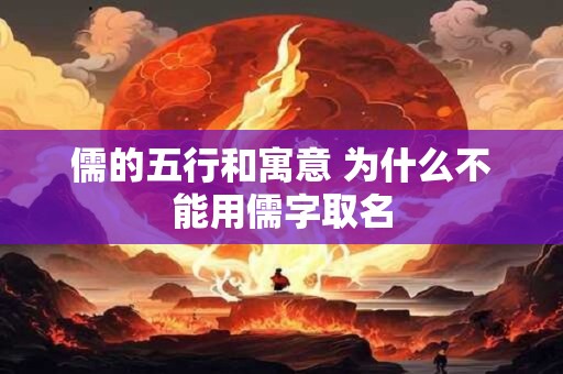 儒的五行和寓意 为什么不能用儒字取名
