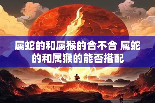 属蛇的和属猴的合不合 属蛇的和属猴的能否搭配