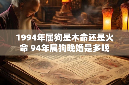 1994年属狗是木命还是火命 94年属狗晚婚是多晚