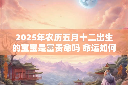2025年农历五月十二出生的宝宝是富贵命吗 命运如何