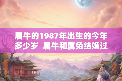 属牛的1987年出生的今年多少岁  属牛和属兔结婚过得好不好