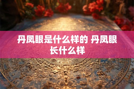 丹凤眼是什么样的 丹凤眼长什么样