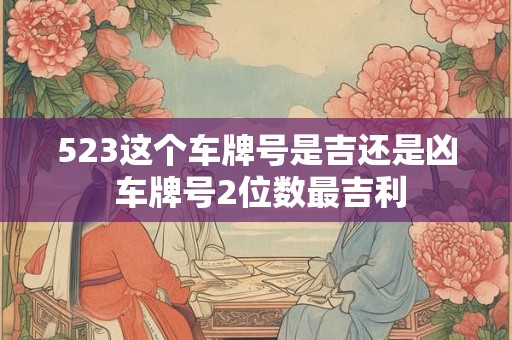 523这个车牌号是吉还是凶 车牌号2位数最吉利