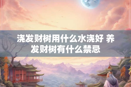 浇发财树用什么水浇好 养发财树有什么禁忌