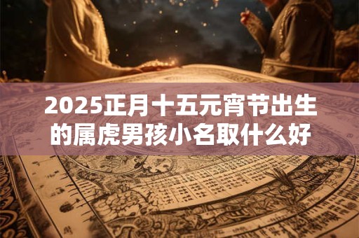 2025正月十五元宵节出生的属虎男孩小名取什么好