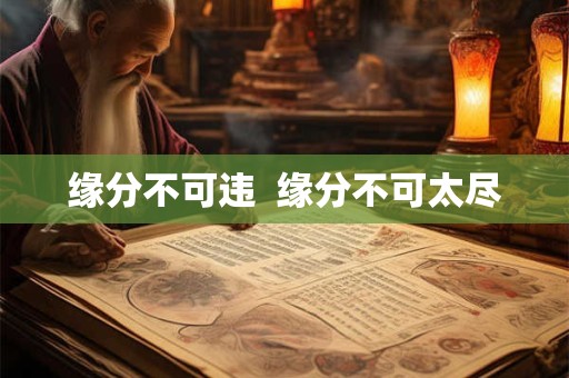 缘分不可违  缘分不可太尽