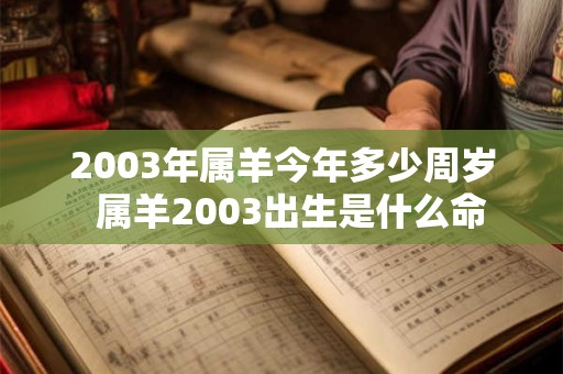 2003年属羊今年多少周岁  属羊2003出生是什么命