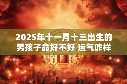 2025年十一月十三出生的男孩子命好不好 运气咋样
