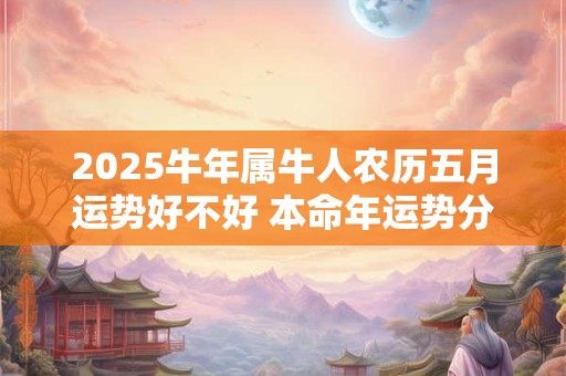 2025牛年属牛人农历五月运势好不好 本命年运势分析