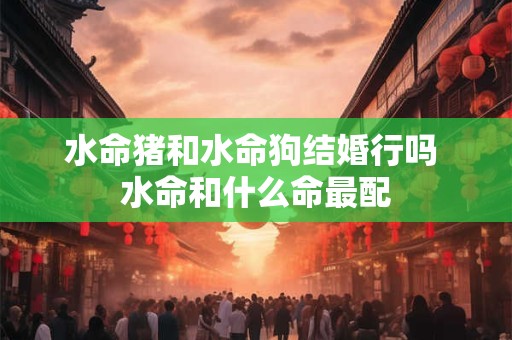 水命猪和水命狗结婚行吗 水命和什么命最配