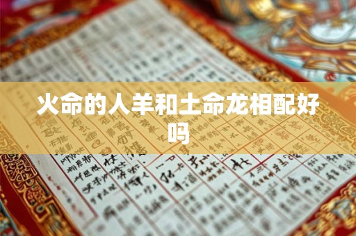 火命的人羊和土命龙相配好吗