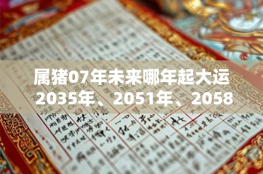 属猪07年未来哪年起大运 2035年、2051年、2058年