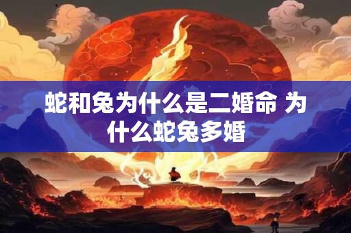 蛇和兔为什么是二婚命 为什么蛇兔多婚