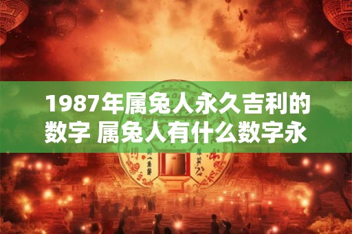 1987年属兔人永久吉利的数字 属兔人有什么数字永久吉利的以1987年为例