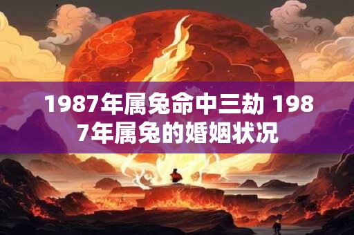 1987年属兔命中三劫 1987年属兔的婚姻状况