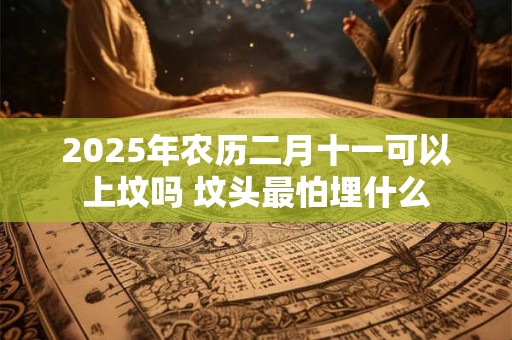 2025年农历二月十一可以上坟吗 坟头最怕埋什么