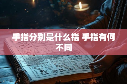 手指分别是什么指 手指有何不同