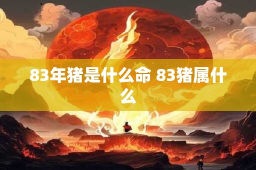 83年猪是什么命 83猪属什么