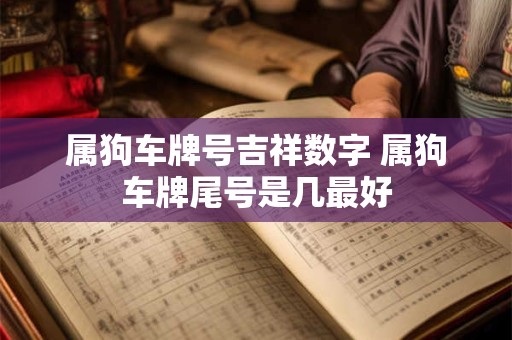 属狗车牌号吉祥数字 属狗车牌尾号是几最好