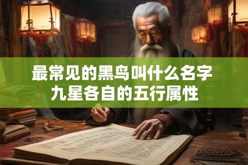 最常见的黑鸟叫什么名字 九星各自的五行属性