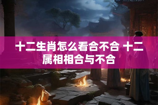 十二生肖怎么看合不合 十二属相相合与不合