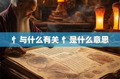 忄与什么有关 忄是什么意思