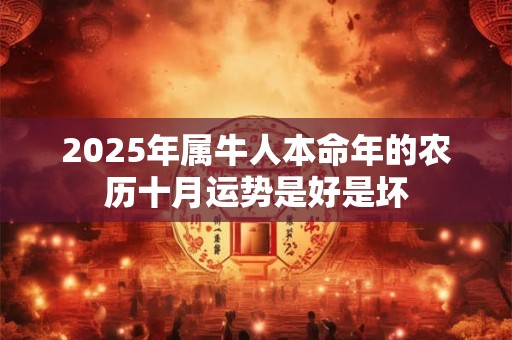 2025年属牛人本命年的农历十月运势是好是坏