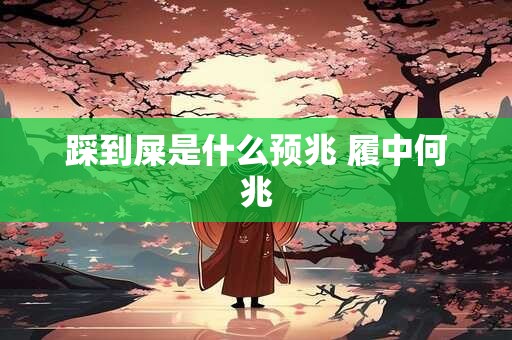 踩到屎是什么预兆 履中何兆