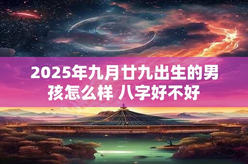 2025年九月廿九出生的男孩怎么样 八字好不好