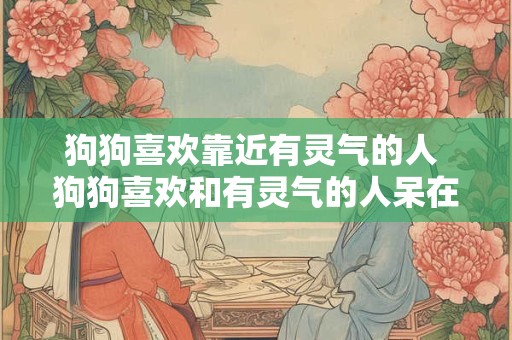 狗狗喜欢靠近有灵气的人 狗狗喜欢和有灵气的人呆在一起吗