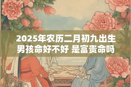 2025年农历二月初九出生男孩命好不好 是富贵命吗