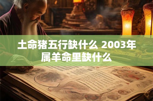 土命猪五行缺什么 2003年属羊命里缺什么