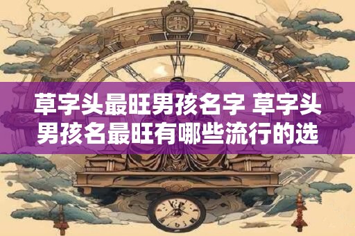 草字头最旺男孩名字 草字头男孩名最旺有哪些流行的选择
